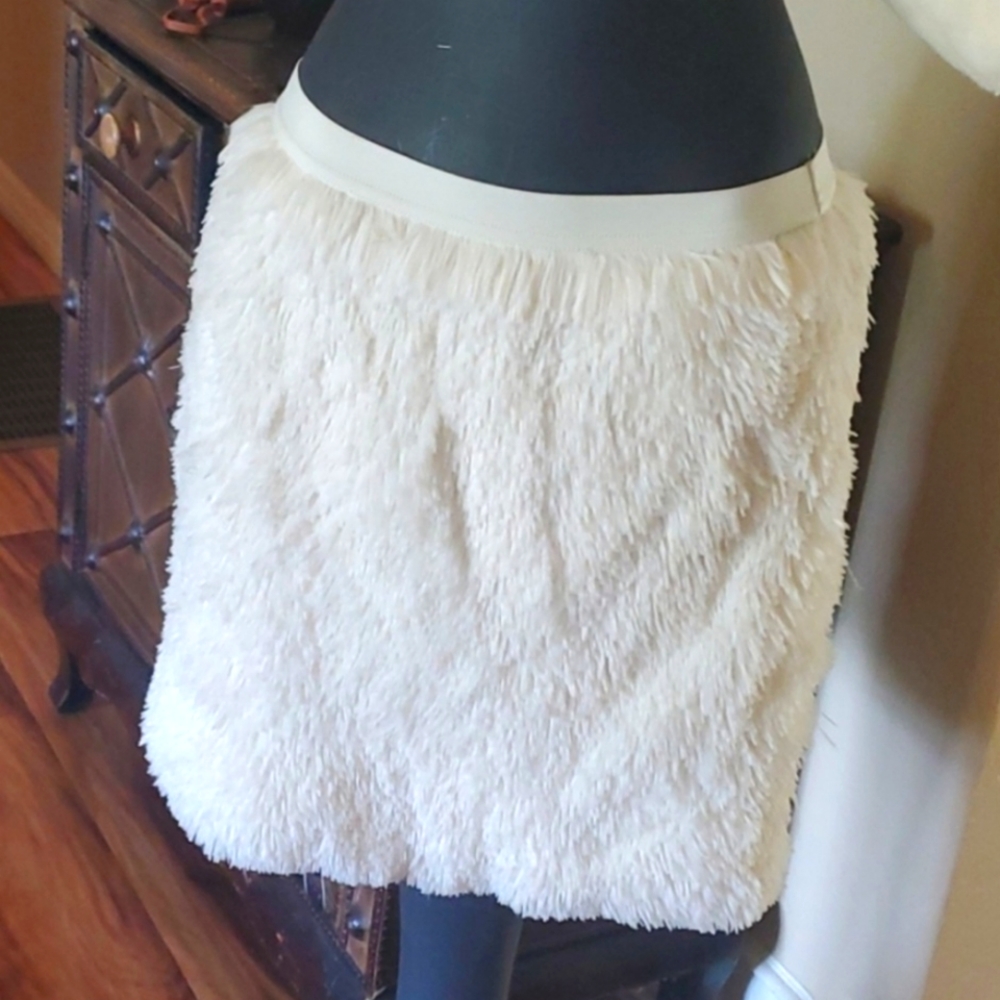 Petticoat Alley Skirt